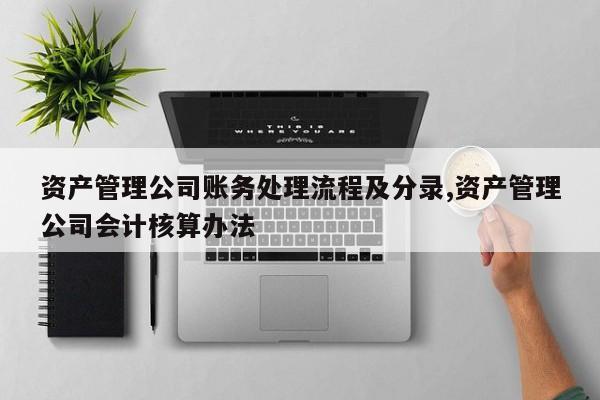 资产管理公司账务处理流程及分录,资产管理公司会计核算办法